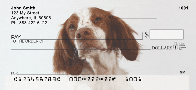 Brittany Spaniels Checks