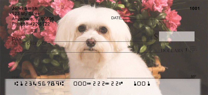 Maltese Checks