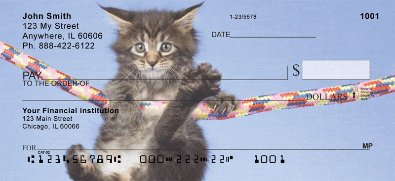 Maine Coon Kittens Checks