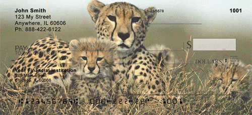 Big Cat Babies Checks