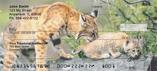 Bobcats Checks