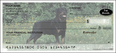 Top Breeds Rottweiler Checks
