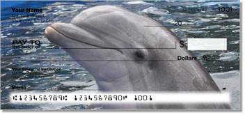 Dolphin Design Checks