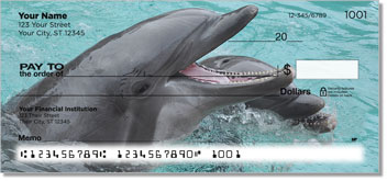 Dolphin Theme Checks