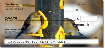 Backyard Bird Personalized Checks