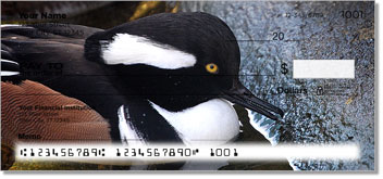Duck Design Checks