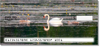 Swan Design Checks