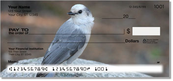 Gray Jay Bird Design Checks