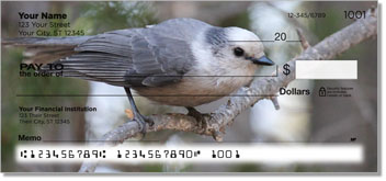 Gray Jay Bird Theme Checks