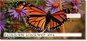 Milkweed Butterfly Design Checks