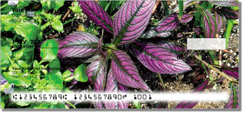 Tropical Flower Theme Checks