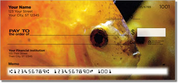 Underwater World Design Checks