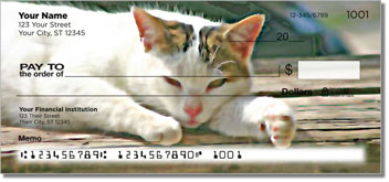 Cat Nap Design Checks
