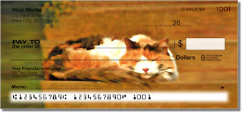 Cat Nap Theme Checks