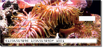 Sea Anemone Design Checks