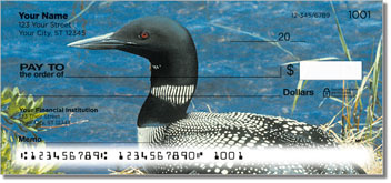 Common Loon Design Checks