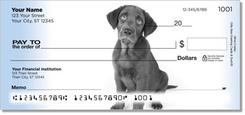 Black Lab Pup Design Checks