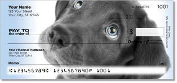 Black Lab Pup Personalized Checks