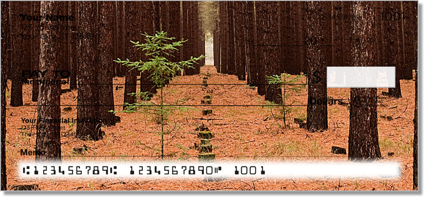 New Beginning Checks