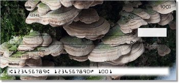 Patterns of Nature Theme Checks