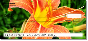 Orange Flower Theme Checks