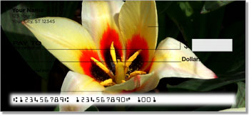 Flower Petal Theme Checks