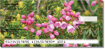 Wildflower Design Checks