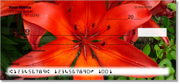 Lily Design Checks
