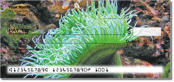 Coral Reef Design Checks