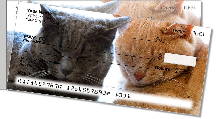 Pet Cat Side Tear Checks