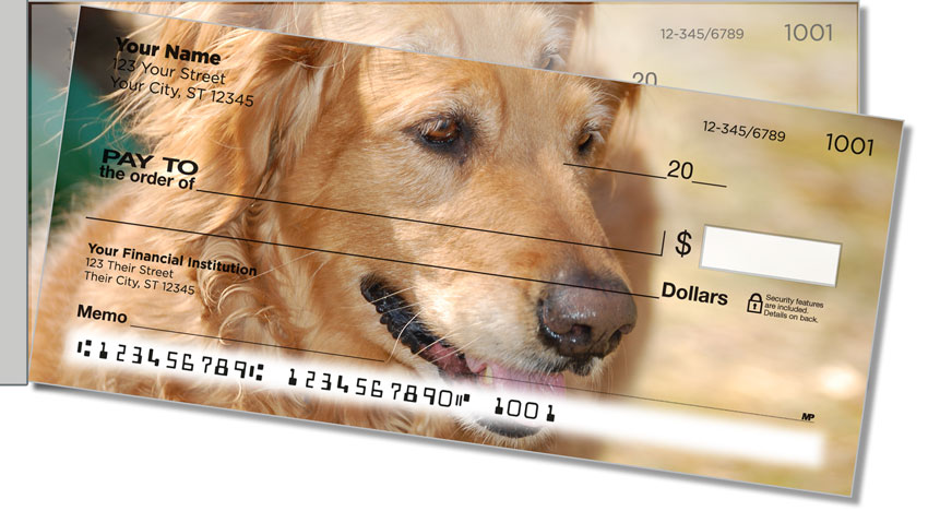 Golden Retriever Side Tear Checks