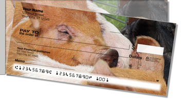 Hog Heaven Side Tear Design Checks