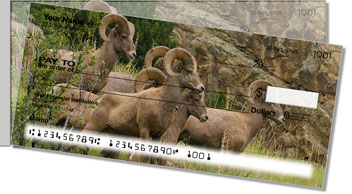 Big Horn Sheep Side Tear Theme Checks