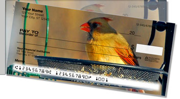 Backyard Bird Side Tear Design Checks