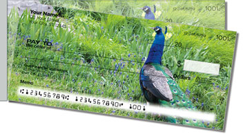 Colorful Peacock Side Tear Theme Checks