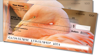 Pink Flamingo Side Tear Design Checks