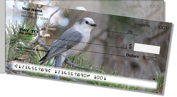 Gray Jay Bird Side Tear Personalized Checks
