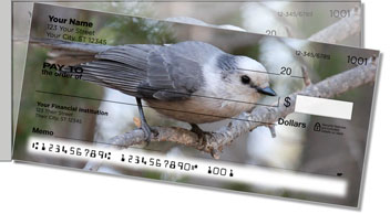 Gray Jay Bird Side Tear Theme Checks