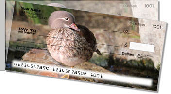 Wood Duck Side Tear Design Checks