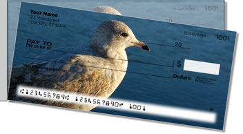 Seagull Side Tear Design Checks