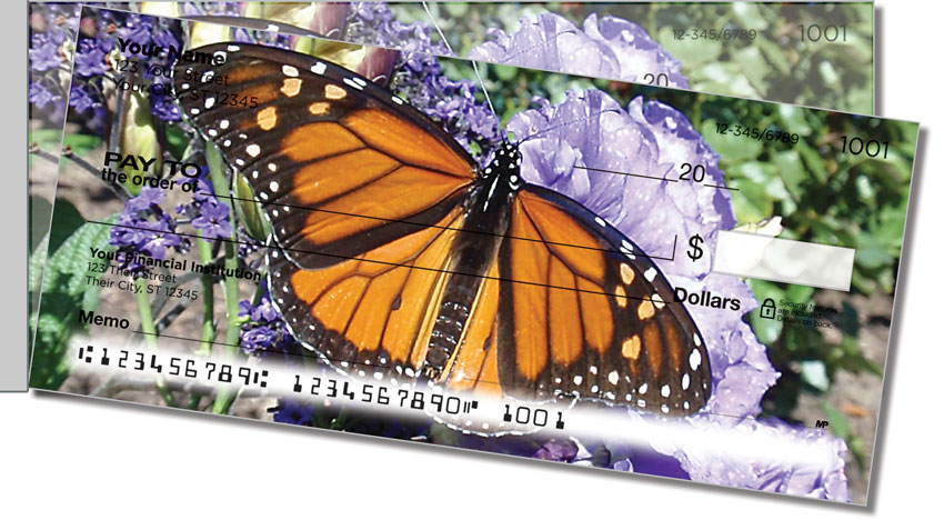 Milkweed Butterfly Side Tear Checks