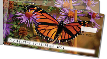 Milkweed Butterfly Side Tear Design Checks