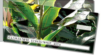 Palm Branch Side Tear Theme Checks