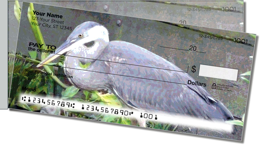 Exotic Bird Side Tear Checks