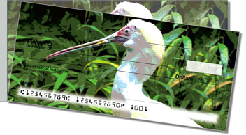 Exotic Bird Side Tear Design Checks