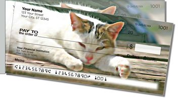 Cat Nap Side Tear Design Checks