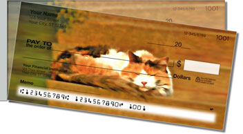 Cat Nap Side Tear Theme Checks
