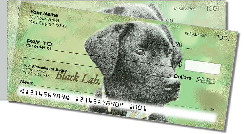 Black Lab Side Tear Checks