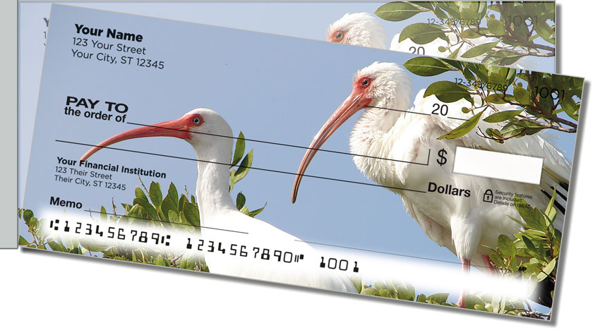White Ibis Side Tear Checks