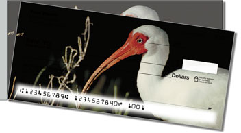 White Ibis Side Tear Design Checks